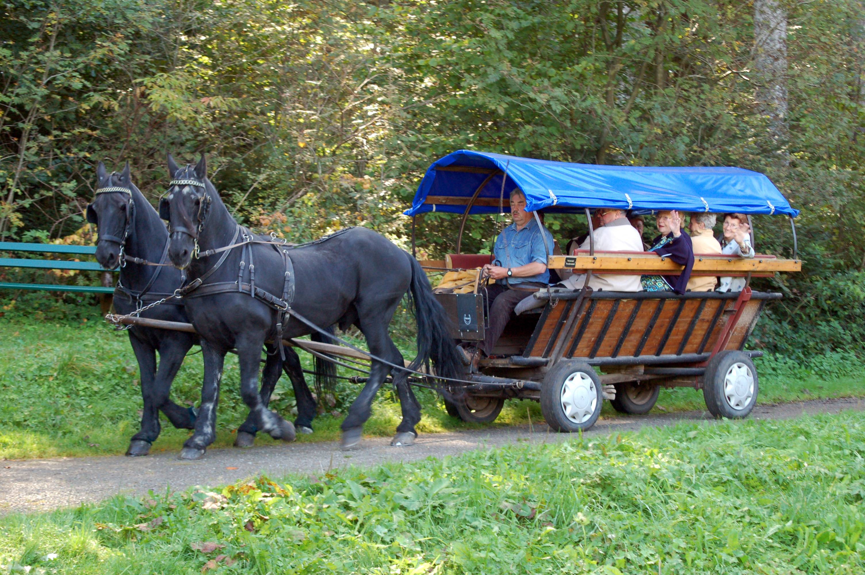 Pferdekutschenfahrt in der Schwarzwälder Region