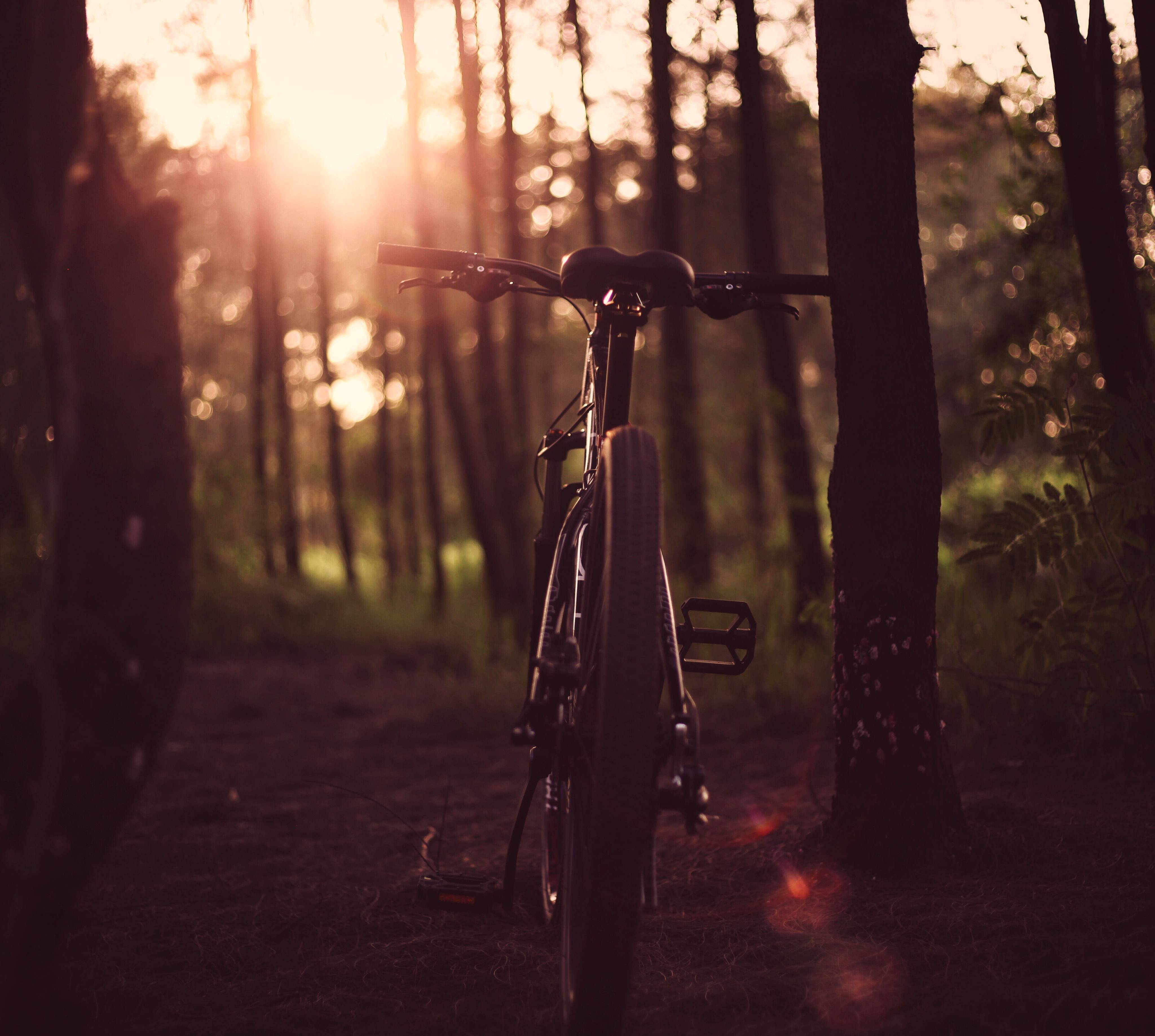 Fahrradfahren & Mountainbiken: Perfekte Ausgangslage - Hotel Grüner Wald