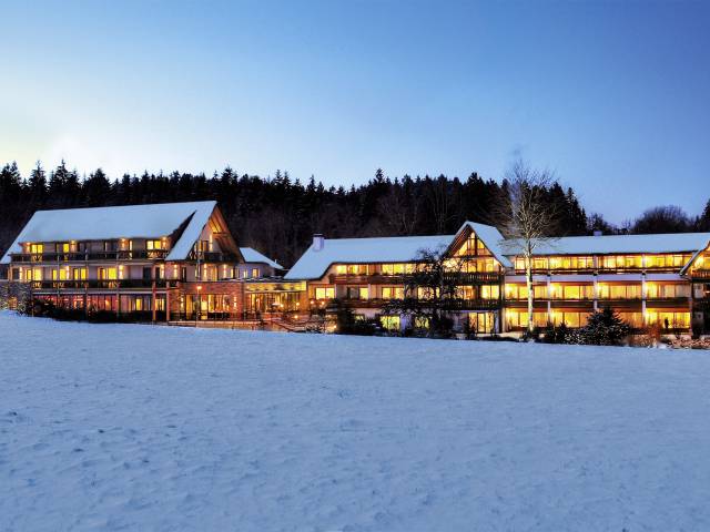 The Hotel Grüner Wald in winter
