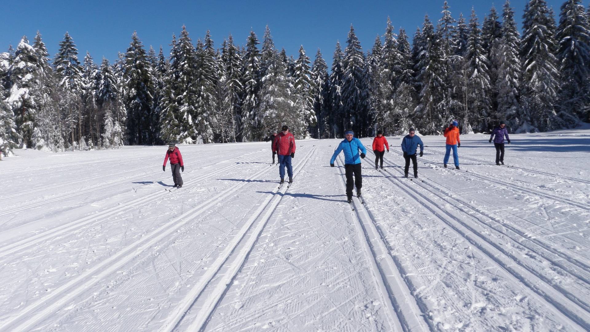 Langlaufen im Winter bei Freudenstadt im Schwarzwald