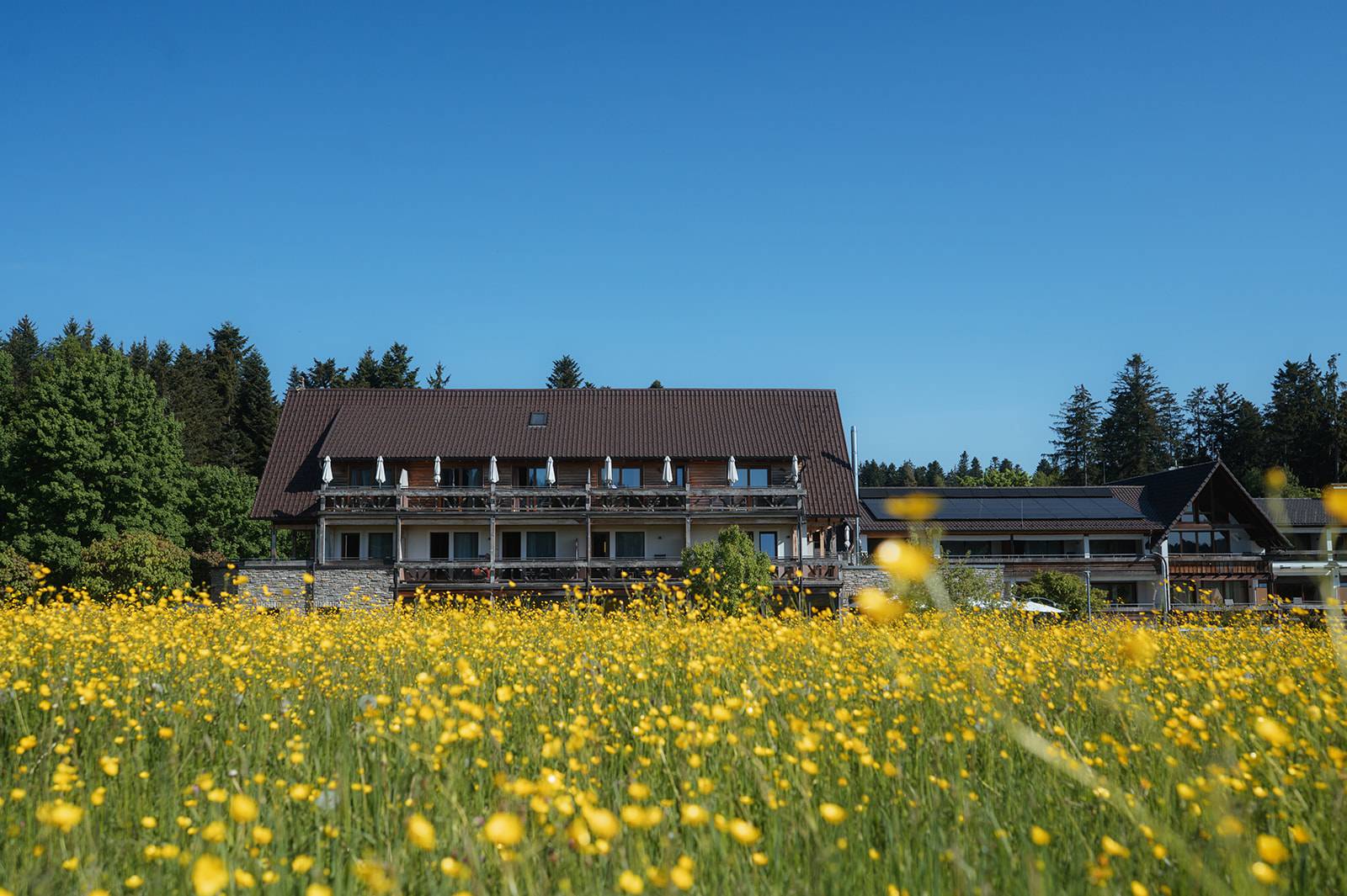 Activeprogramm open air ...: Programm at the Hotel Grüner Wald - Hotel Grüner Wald