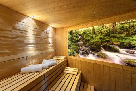 Sauna im Hotel Grüner Wald