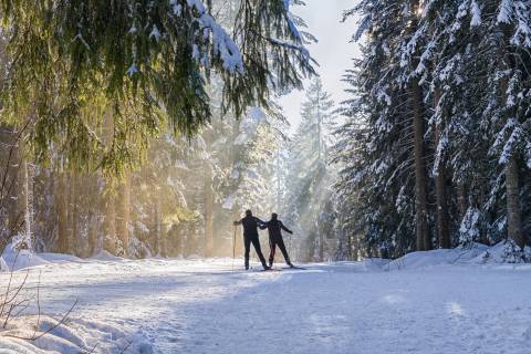 Langlauf Skifahren im Schwarzwald
