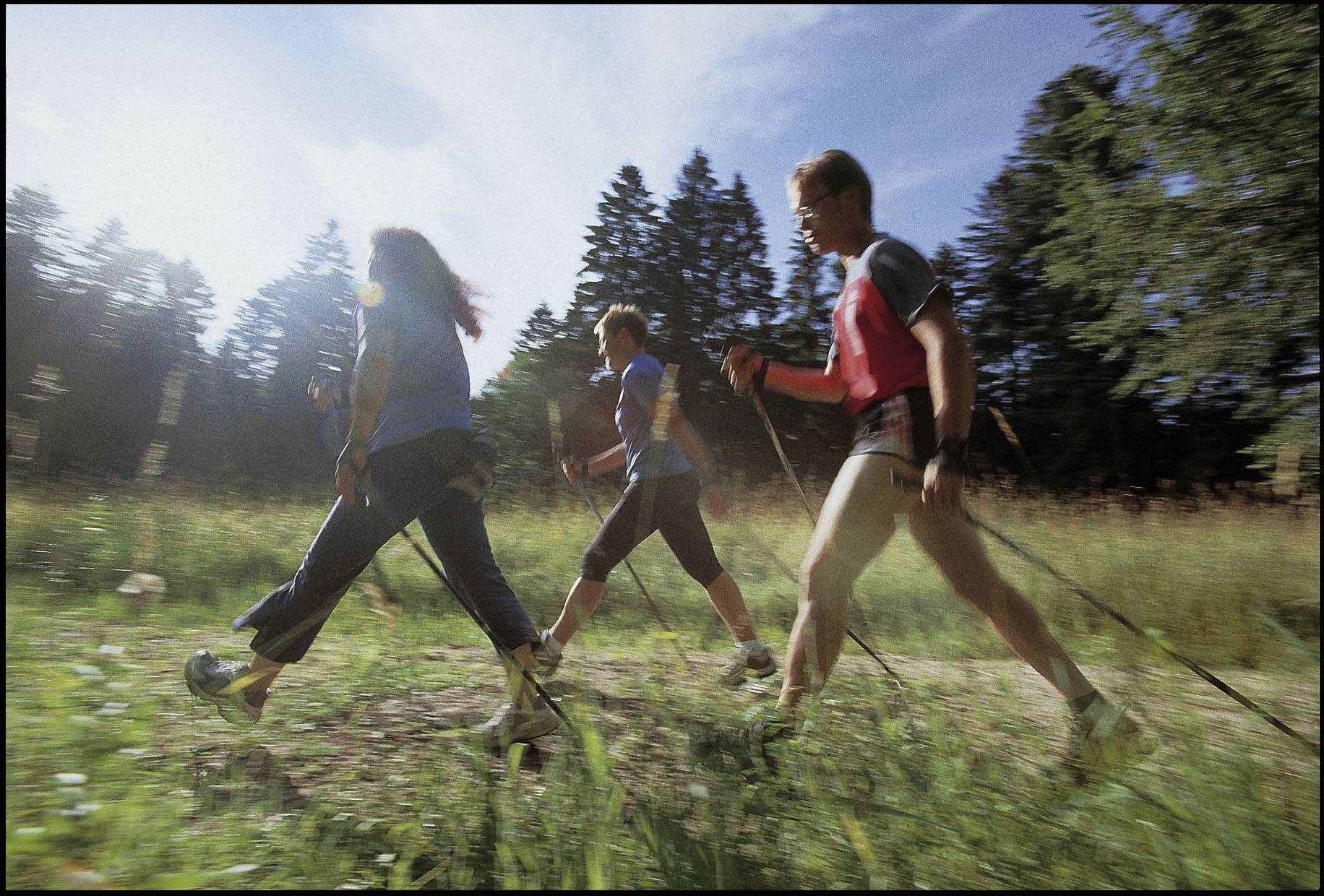 Nordic Walking im Schwarzwald