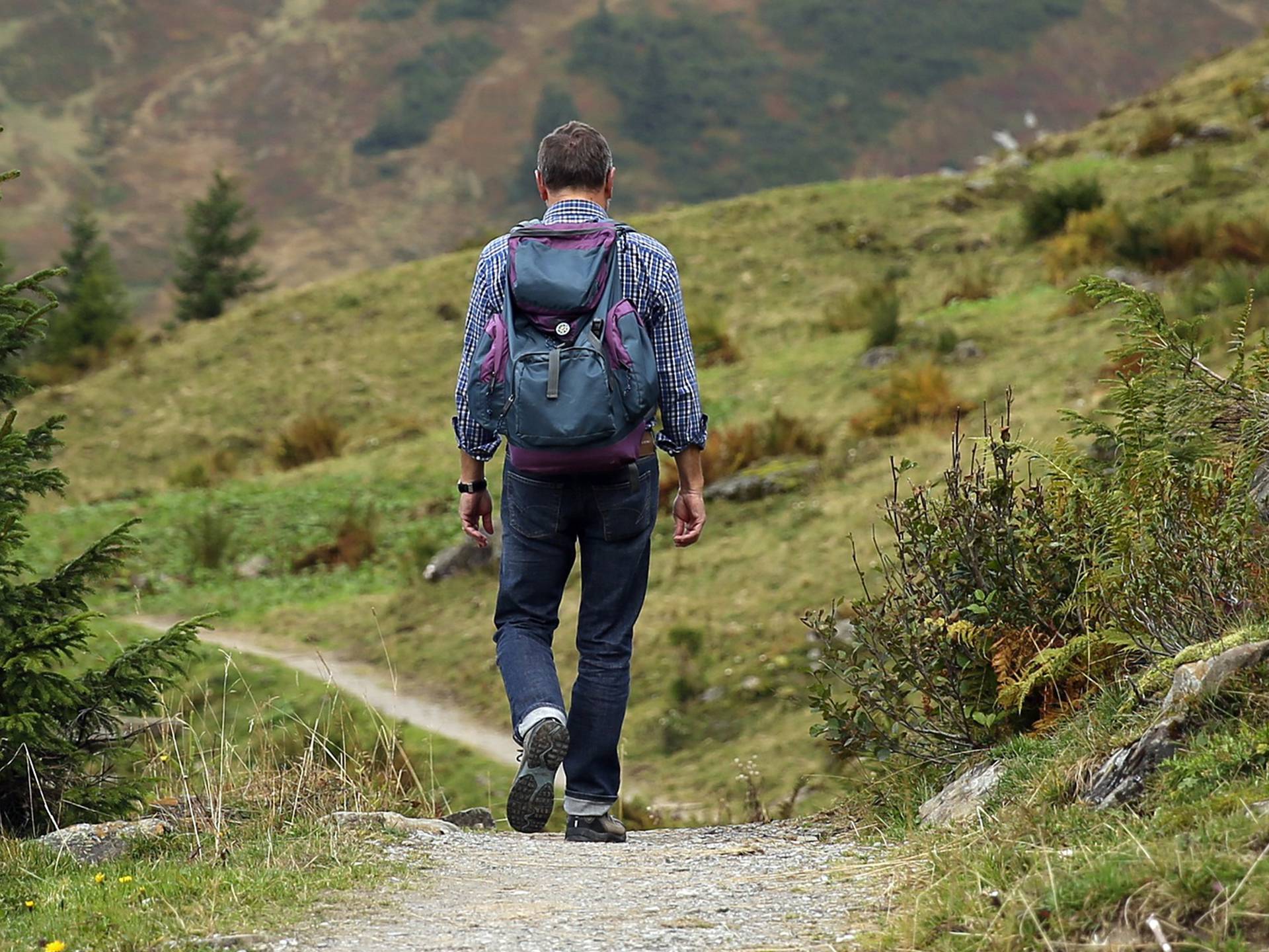 Wanderer auf Wanderweg