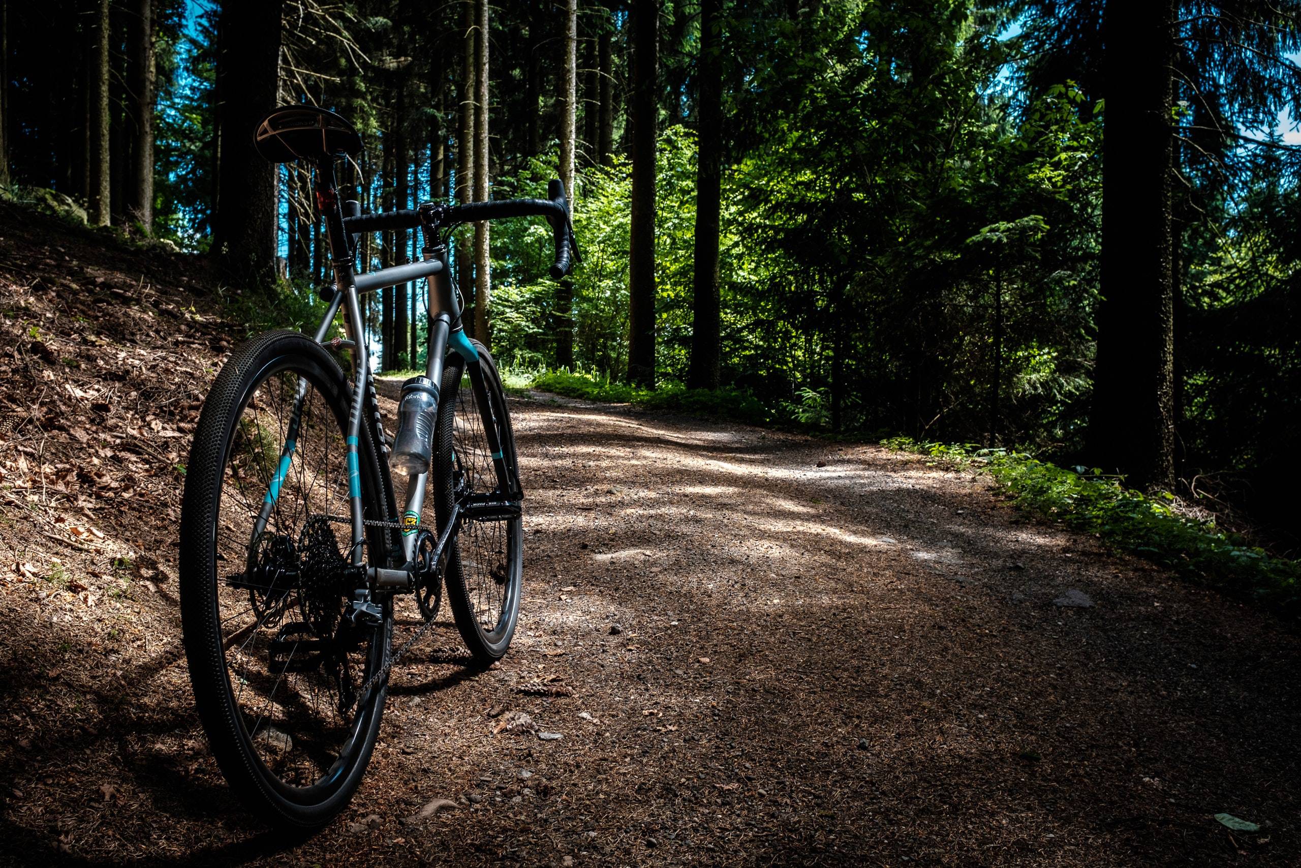 Rennrad im Wald