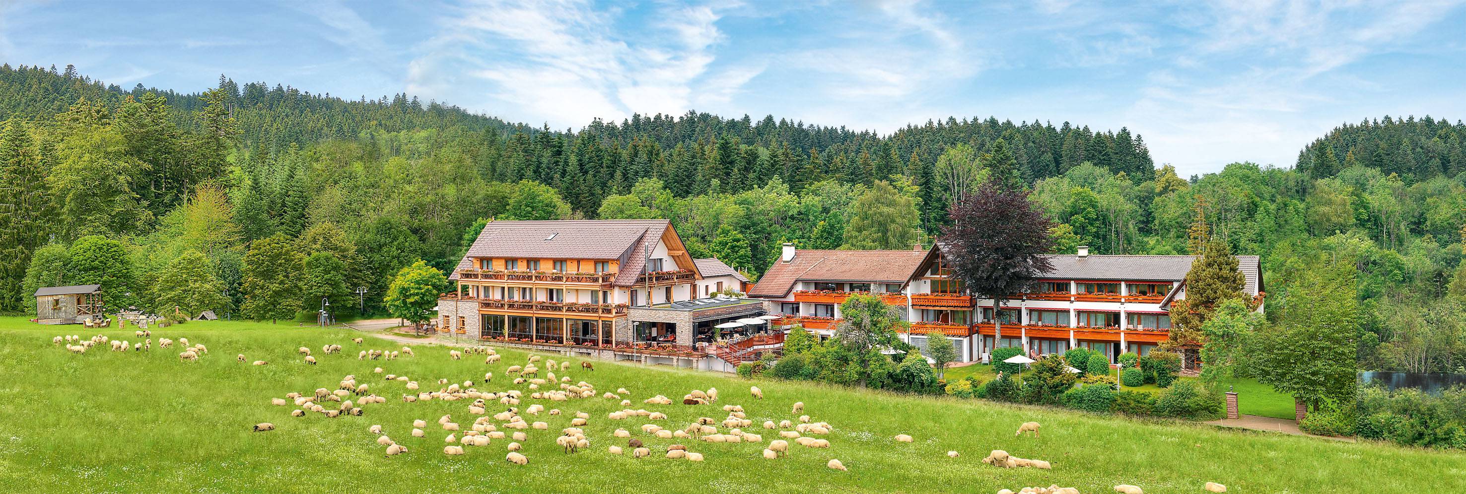 *Nature*, relaxation & enjoyment - Wellnesshotel Grüner Wald 4*S Freudenstadt