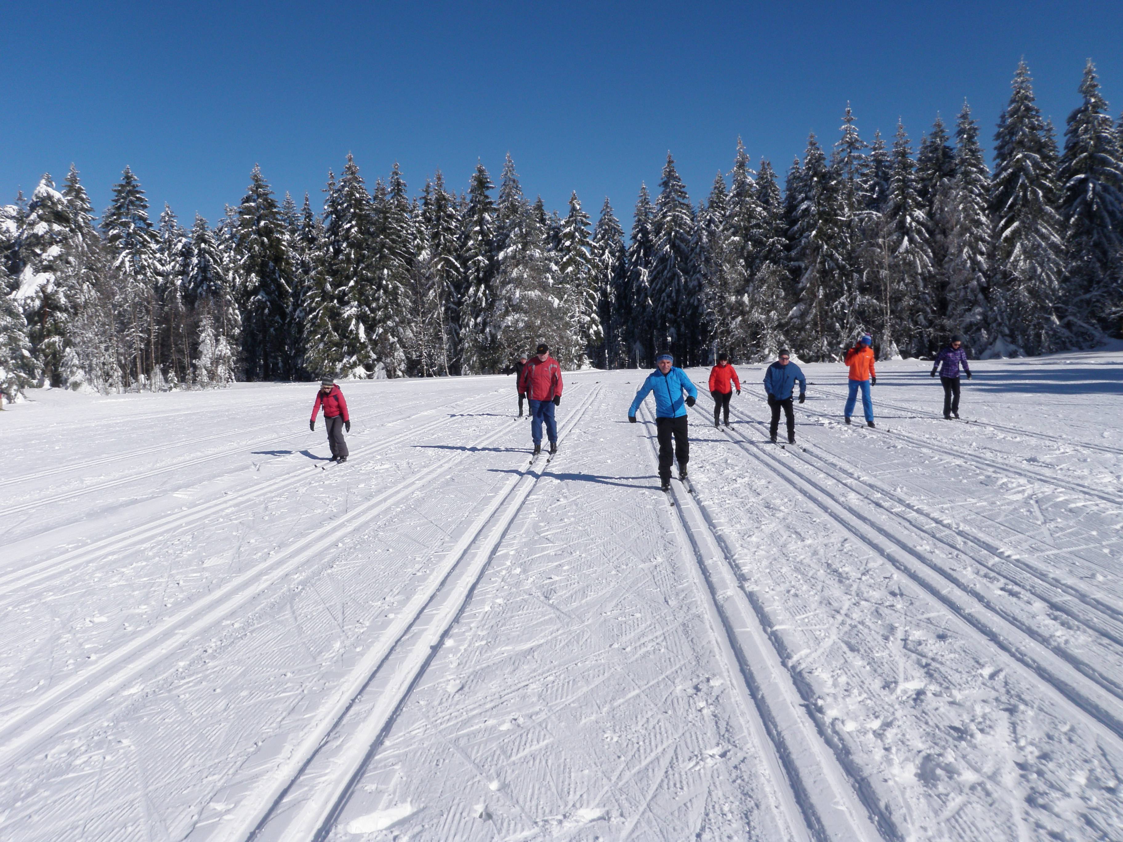 Langlaufen im Winter bei Freudenstadt im Schwarzwald