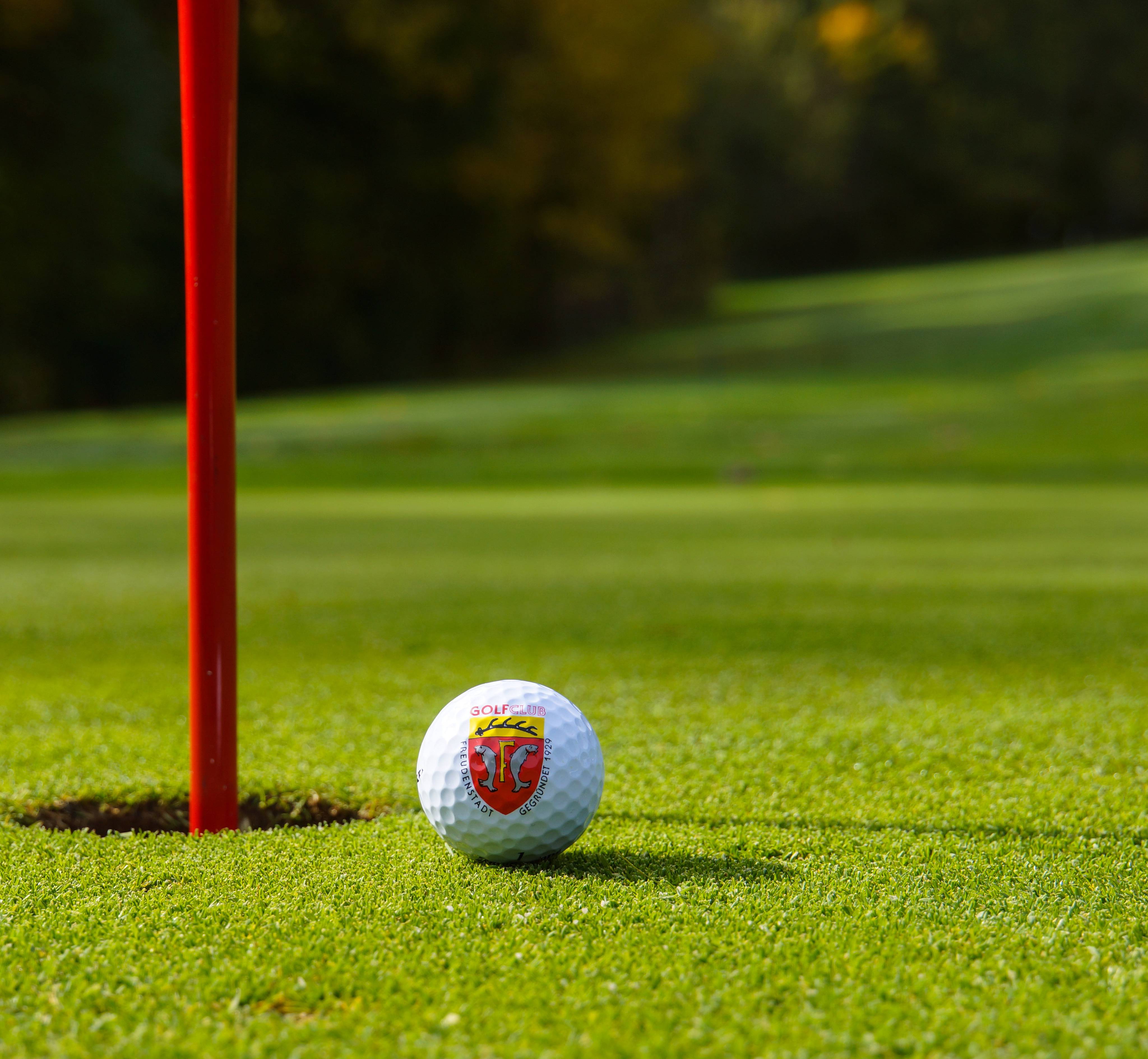 Golf: In front of the hotel door in the Black Forest - Hotel Grüner Wald