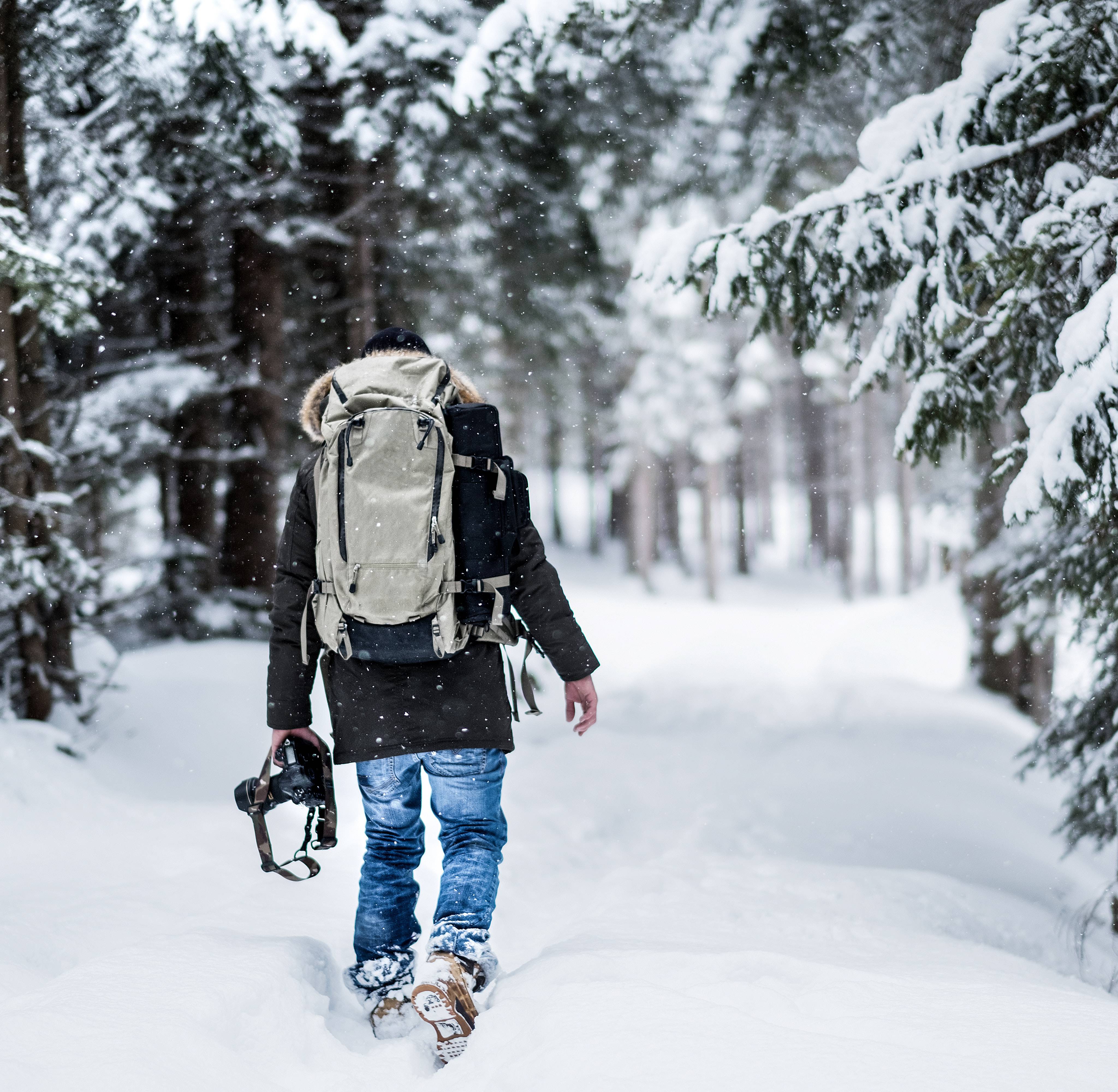 Eingeschneiter Schwarzwald mit Schnee auf Tannen