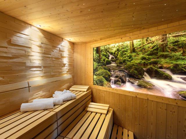  Bio-Nationalparksauna Hotel Grüner Wald