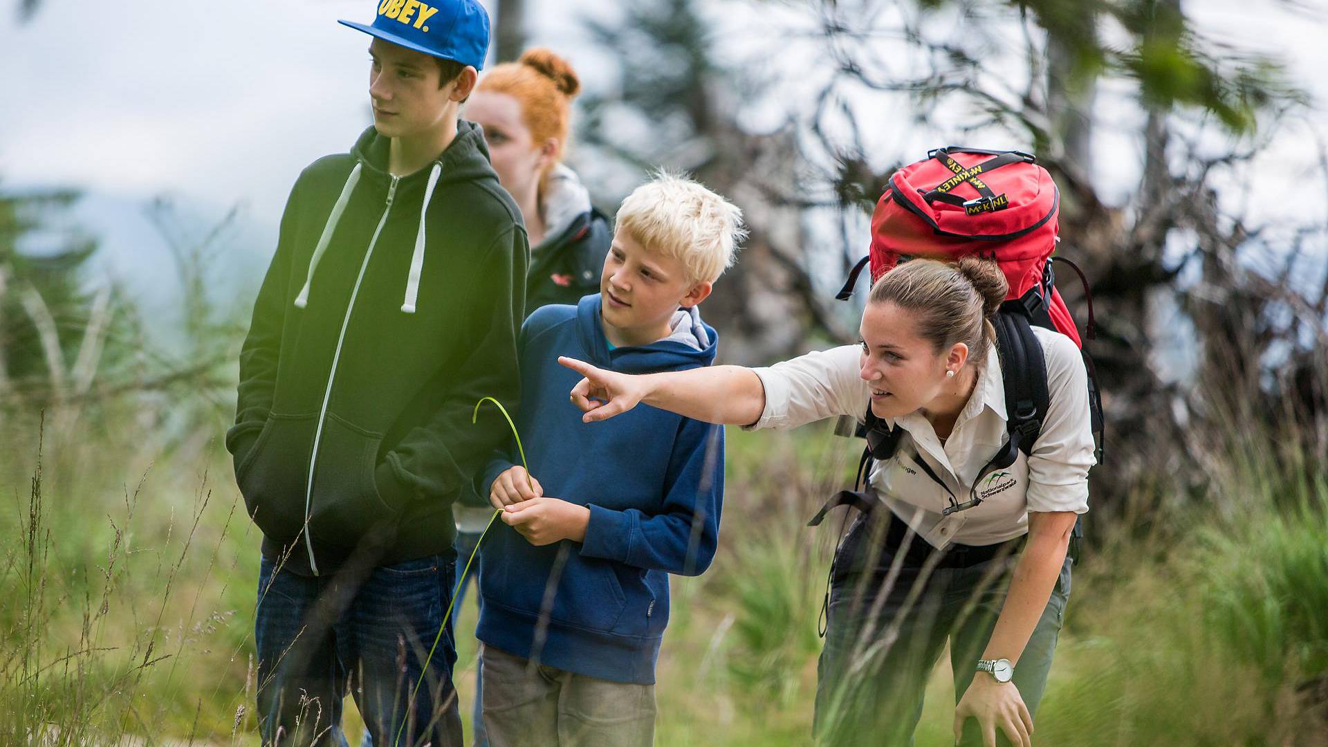 Familienwanderung im Schwarzwald bei Freudenstadt