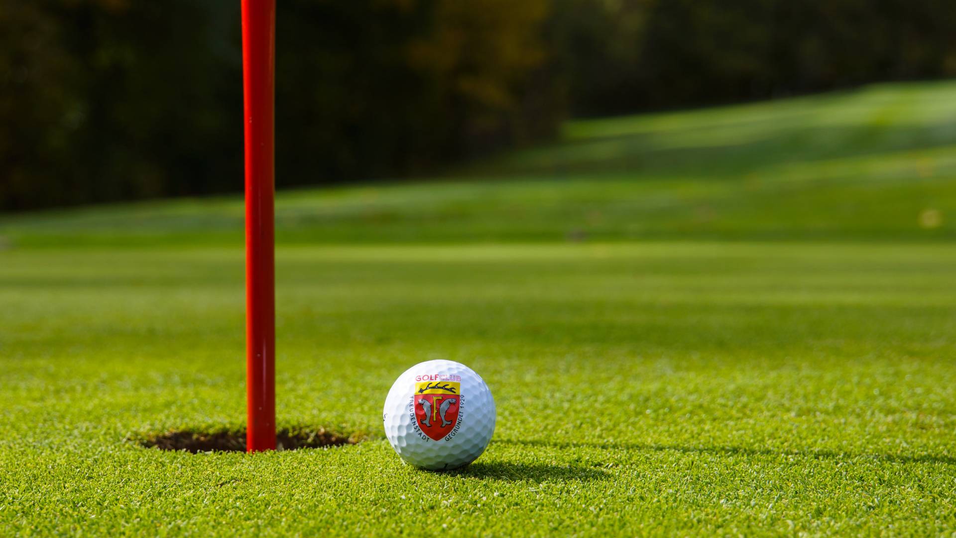 Detailbild Golfball vom Golfclub Freudenstadt