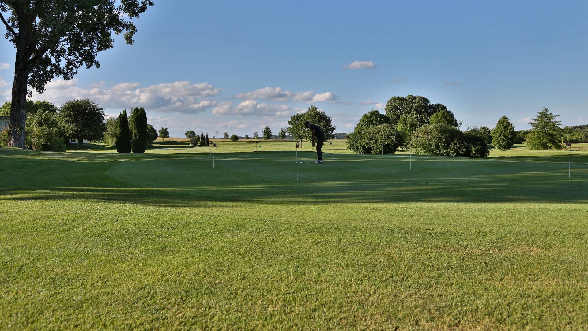 Wiese auf dem Golfclub Alpirsbach