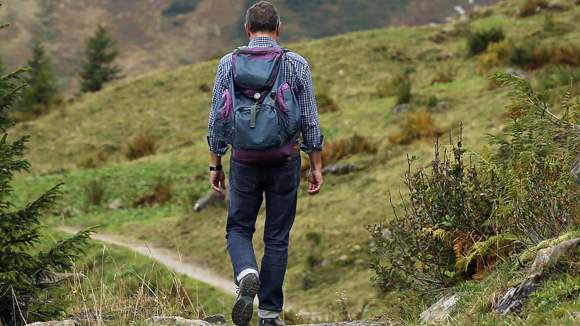 Wanderurlaub im Schwarzwald bei Freudenstadt