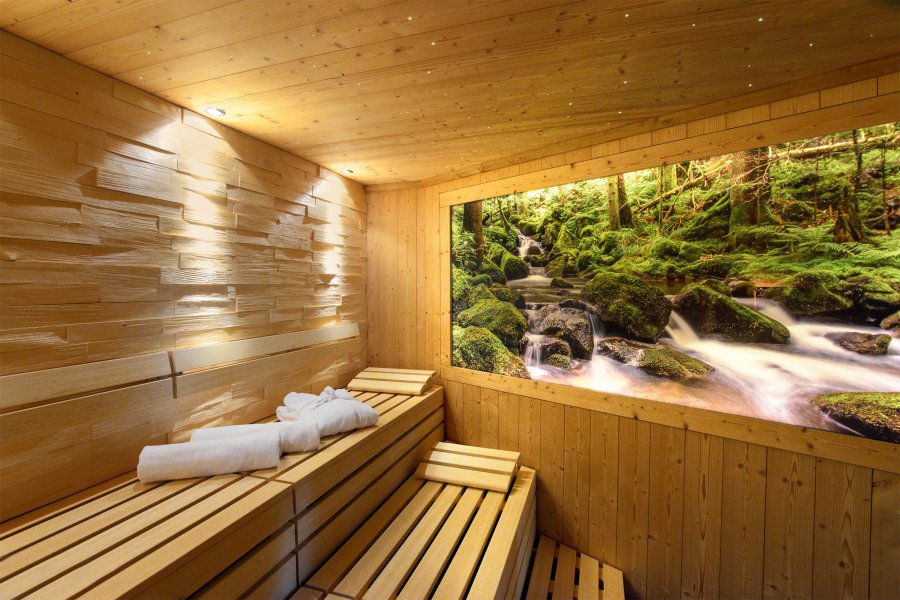 Sauna mit Bild von der Natur im Wellnesshotel Grüner Wald